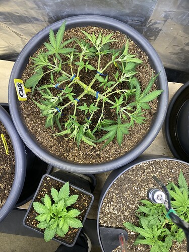 Growreport Bild 14