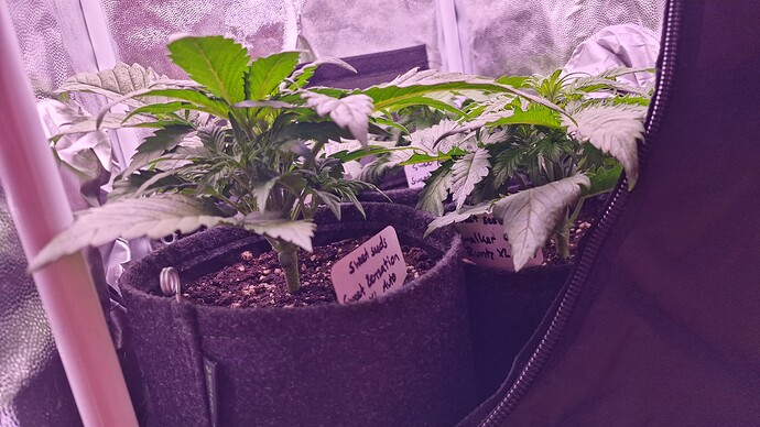 19.04. Gruppenbild 1