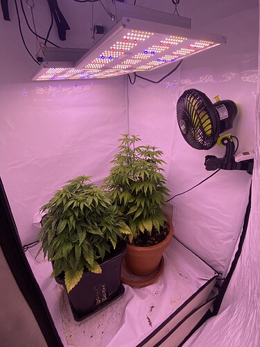 Growreport Bild 7