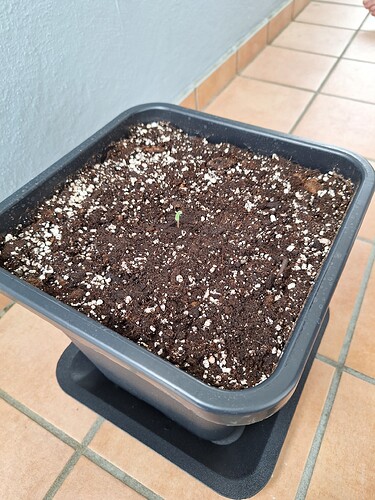 Growreport Bild 8