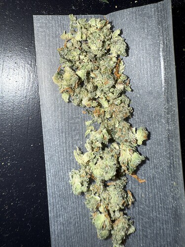 Growreport Bild 12