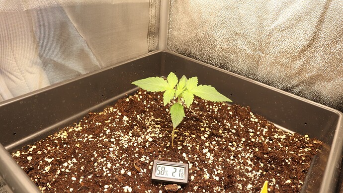 Growreport Bild 11