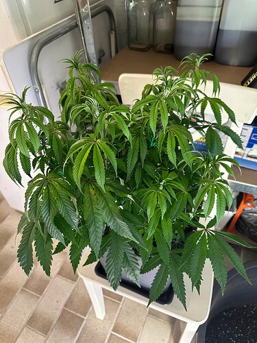Growreport Bild 19