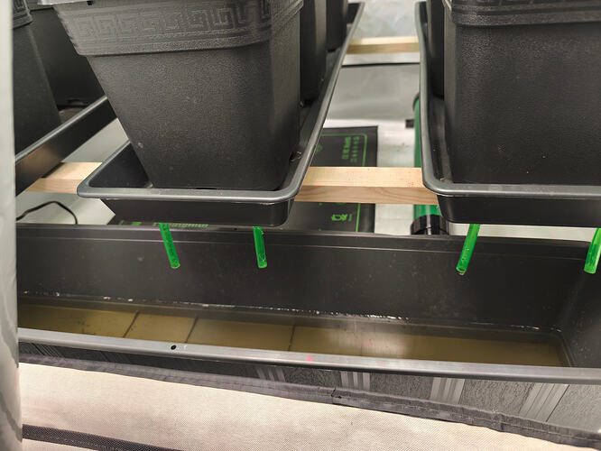 Growreport Bild 6