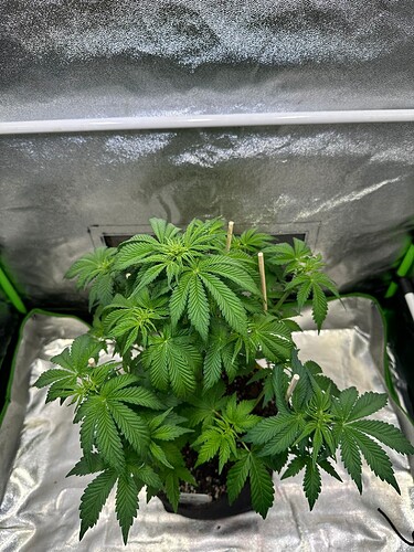 Growreport Bild 12
