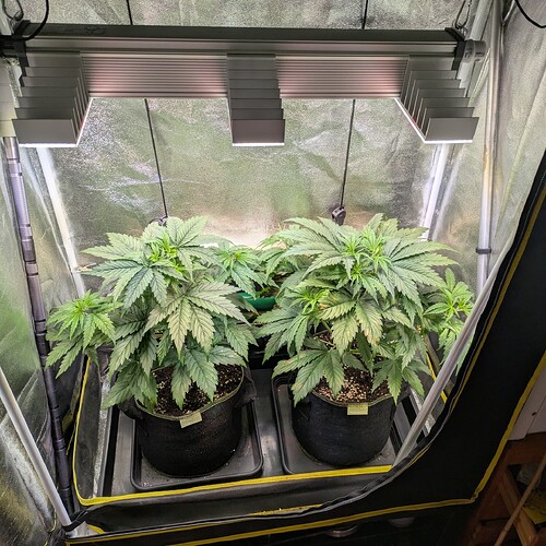 Growreport Bild 19