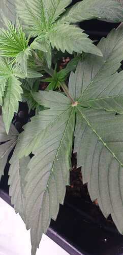 WhatsApp Image 2024-05-05 at 17.04.42 (1)