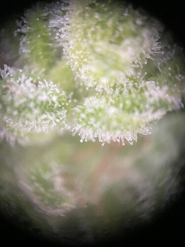 Growreport Bild 10
