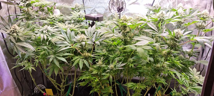 Growreport Bild 11