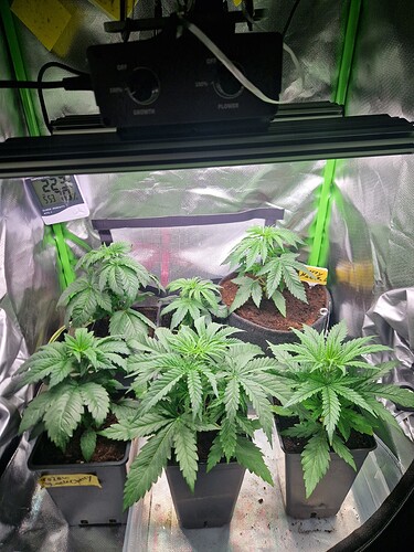 Growreport Bild 10