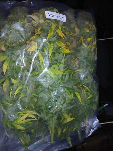 Growreport Bild 11