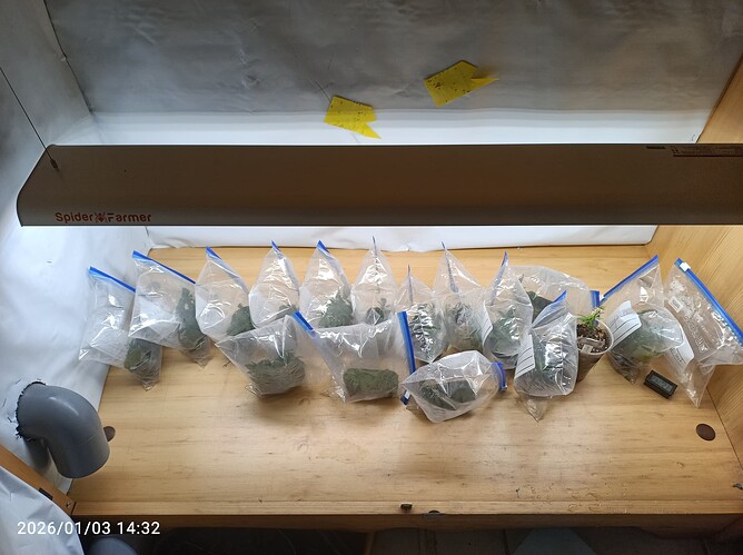 Growreport Bild 14