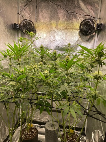 Growreport Bild 21