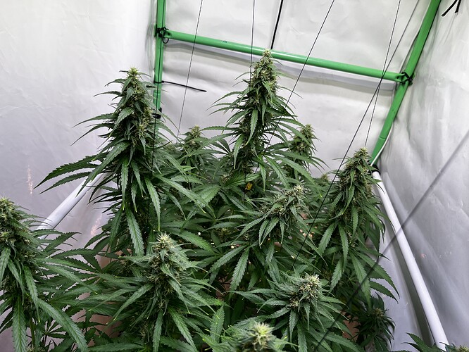Growreport Bild 7