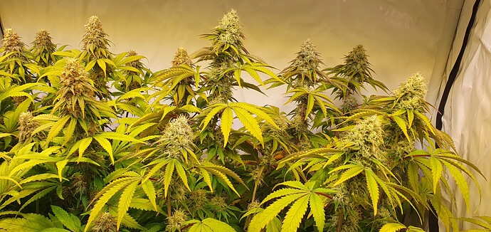 Growreport Bild 10