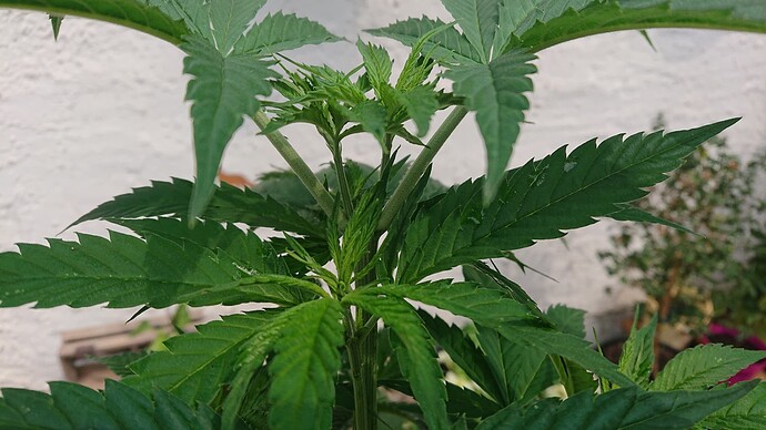 Growreport Bild 10