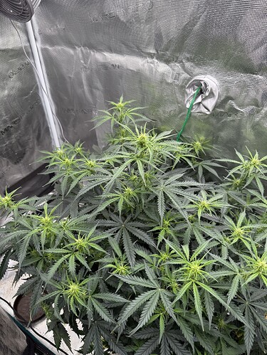 Growreport Bild 11