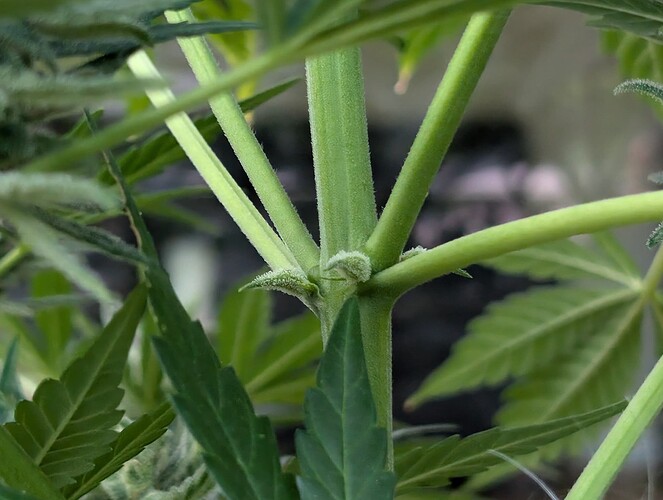 PXL_20240827_170339168