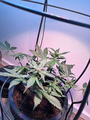 Growreport Bild 16