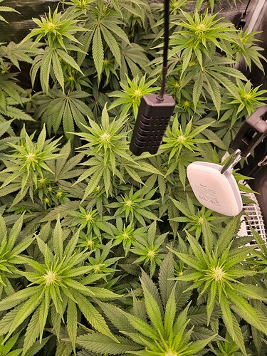 Growreport Bild 18