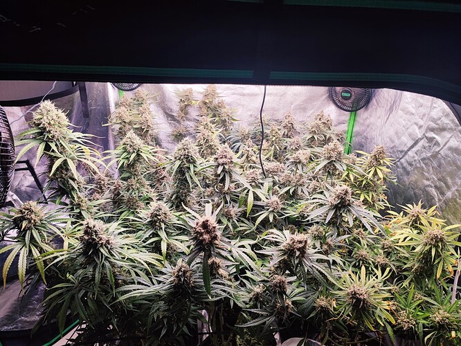 Growreport Bild 13