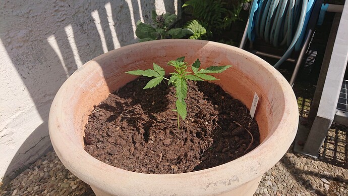 Growreport Bild 46