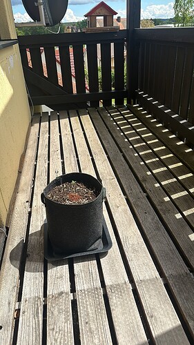 88F5129C-61B8-4C25-A306-1557D3CFD71C