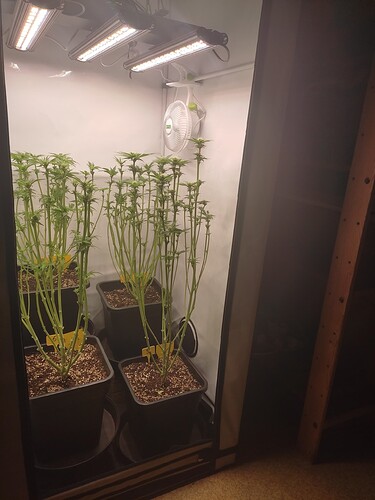 Growreport Bild 23