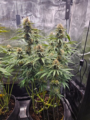 Growreport Bild 2