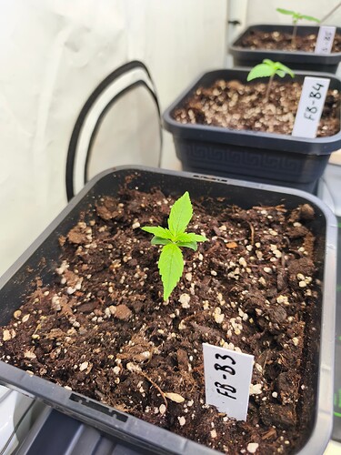Growreport Bild 18