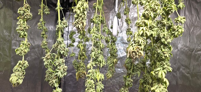 Growreport Bild 2
