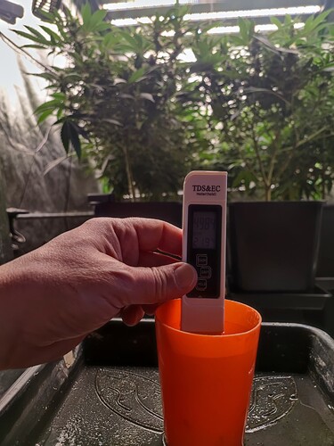 Growreport Bild 28