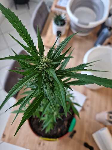 WhatsApp Image 2024-06-27 at 18.04.13 (3)