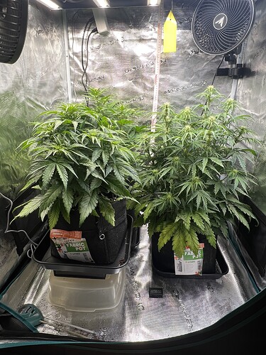 Growreport Bild 6