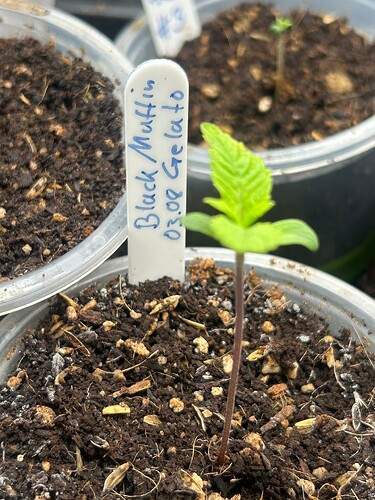 Growreport Bild 14