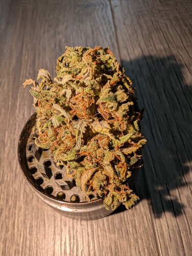 Growreport Bild 18