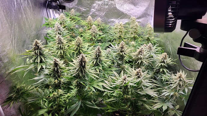 Growreport Bild 2