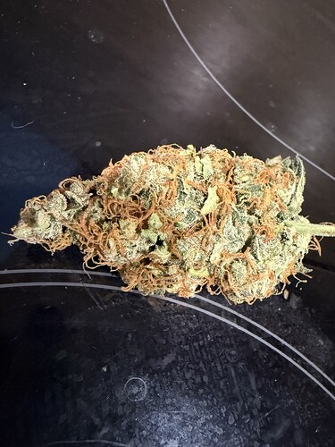 Growreport Bild 5
