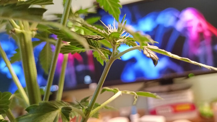Growreport Bild 5