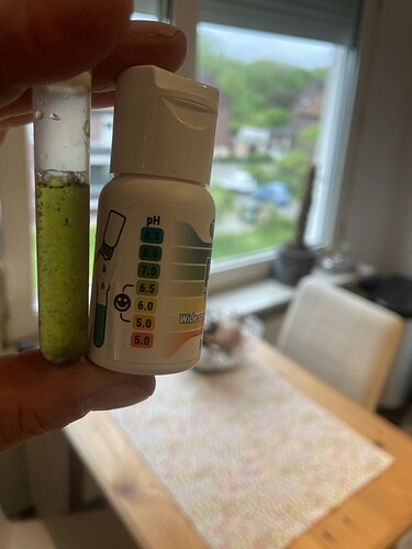 Growreport Bild 19