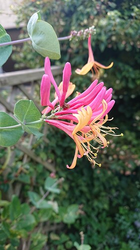 Growreport Bild 16