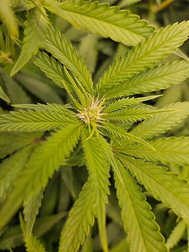 Growreport Bild 8