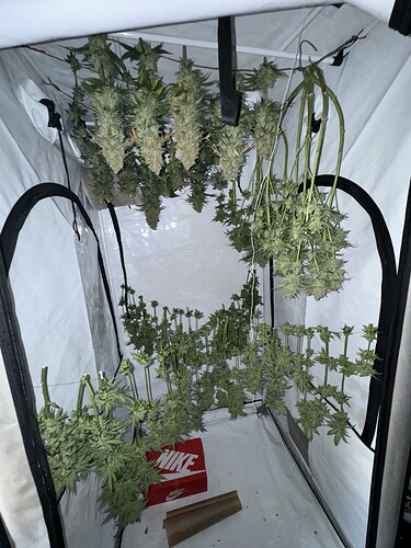 Growreport Bild 12