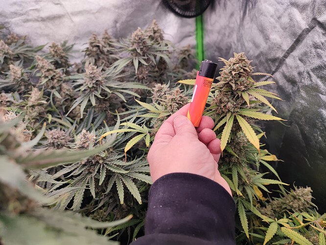 Growreport Bild 26