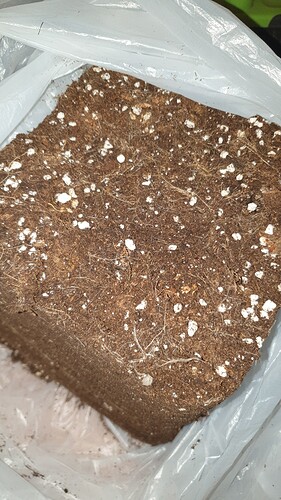 Growreport Bild 7
