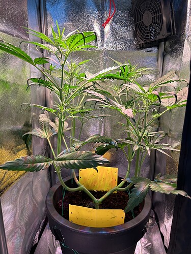 Growreport Bild 2