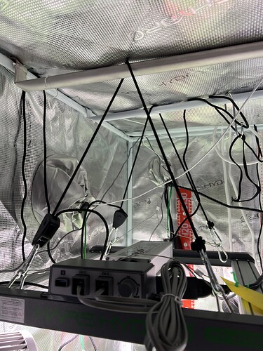 Growreport Bild 7