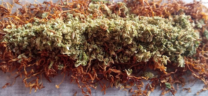 Growreport Bild 13