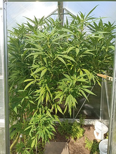 WhatsApp Bild 2024-09-18 um 11.37.42_60647bd4