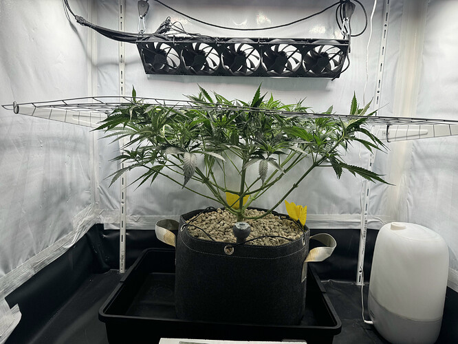 20240516_163635108_iOS